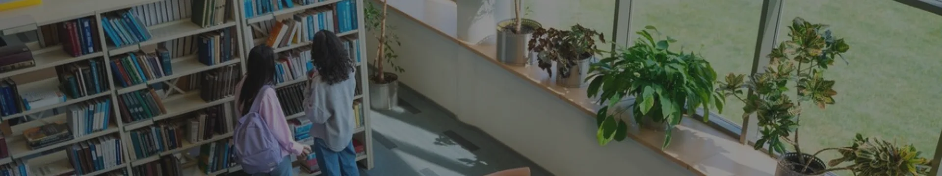 IT solutions for education